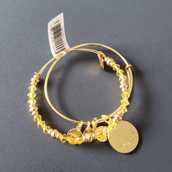 Alex and Ani Gold Art Infusion Calavera Swarovski Set 646 - Picture 4 of 5